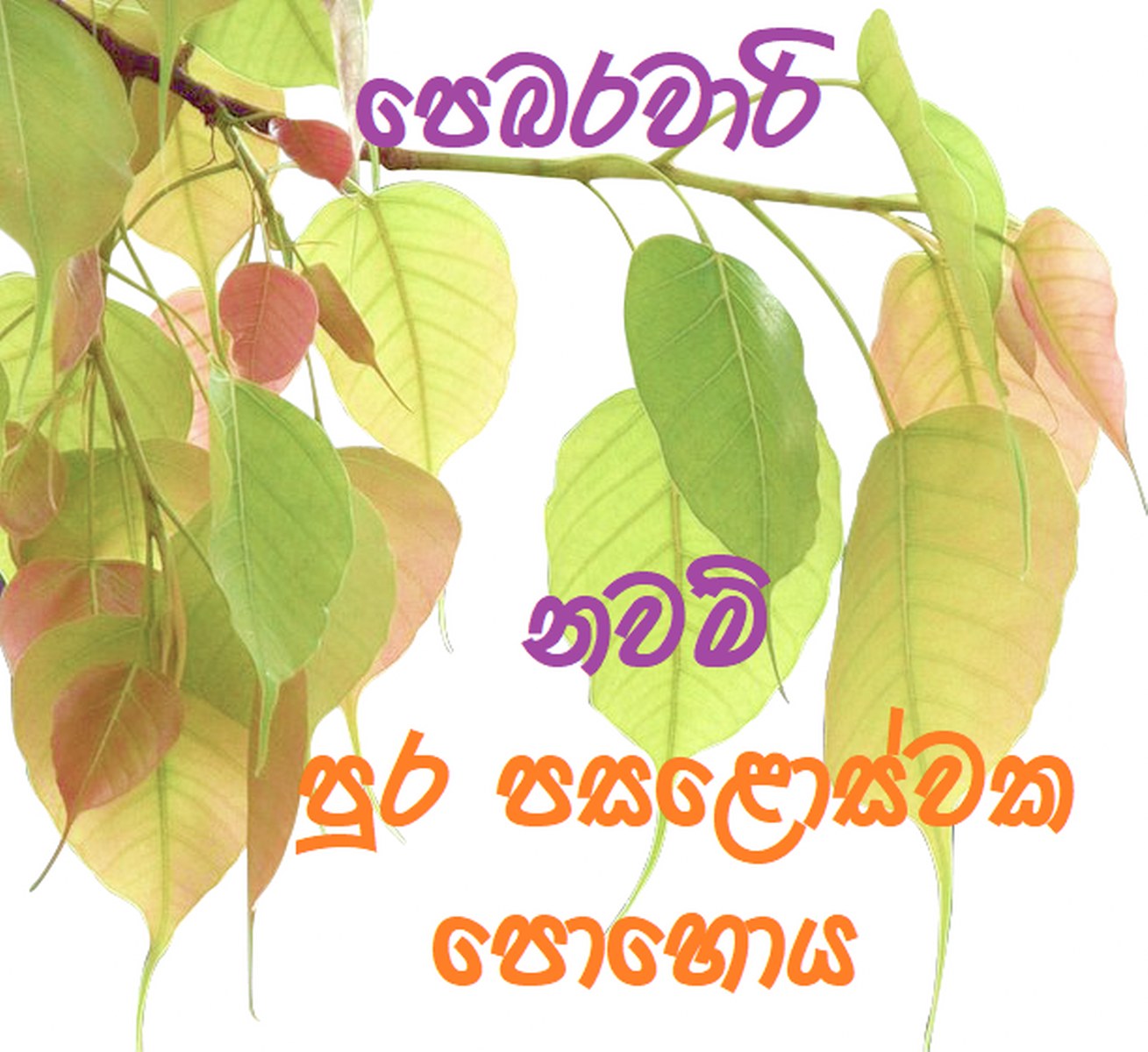 2. Nawam Poya