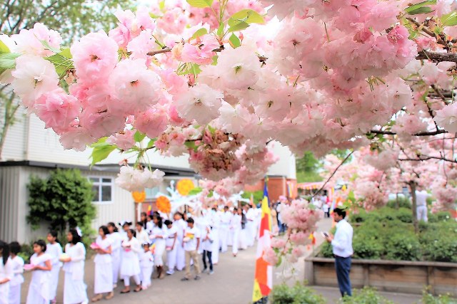 2017 Kathina Puja 10 640x427